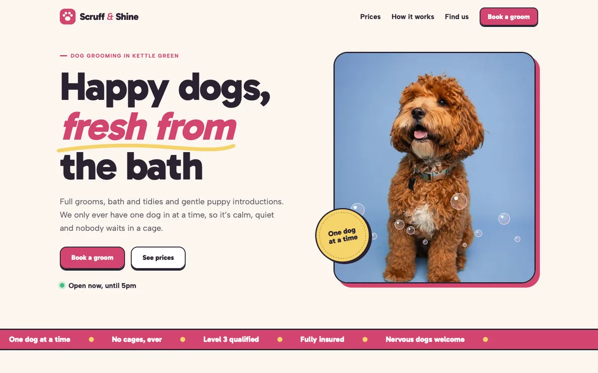 The home page of the Scruff & Shine website